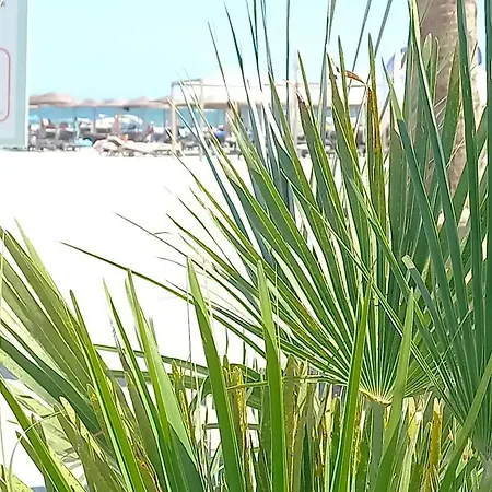 Appartement Promenada - Beachfront Mamaia Nord Năvodari